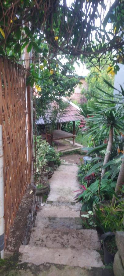 Akria Bed And Breakfast Bayan Exterior photo